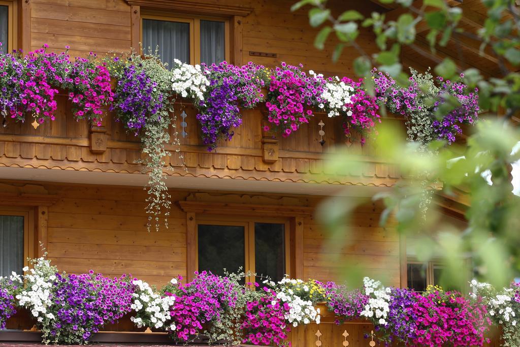 Apartment Alpenecho
