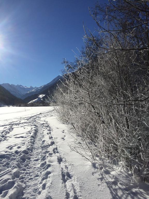 Alpenecho *