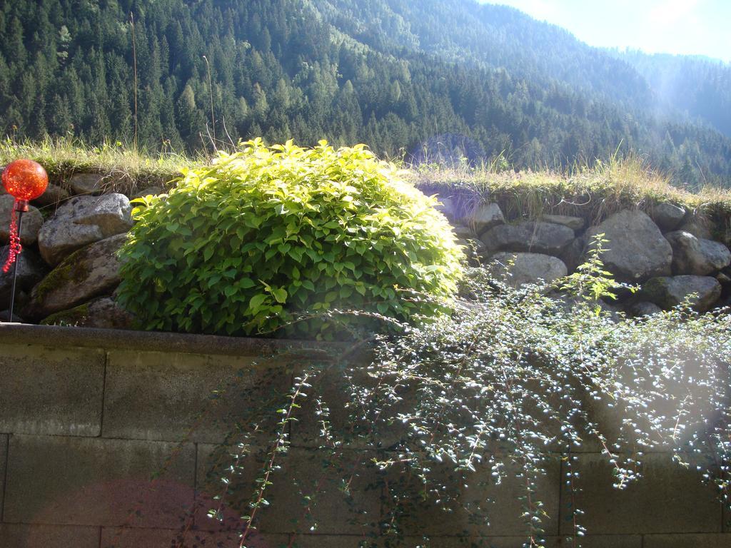 Alpenecho *