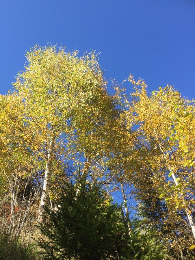 Alpenecho Neustift im Stubaital