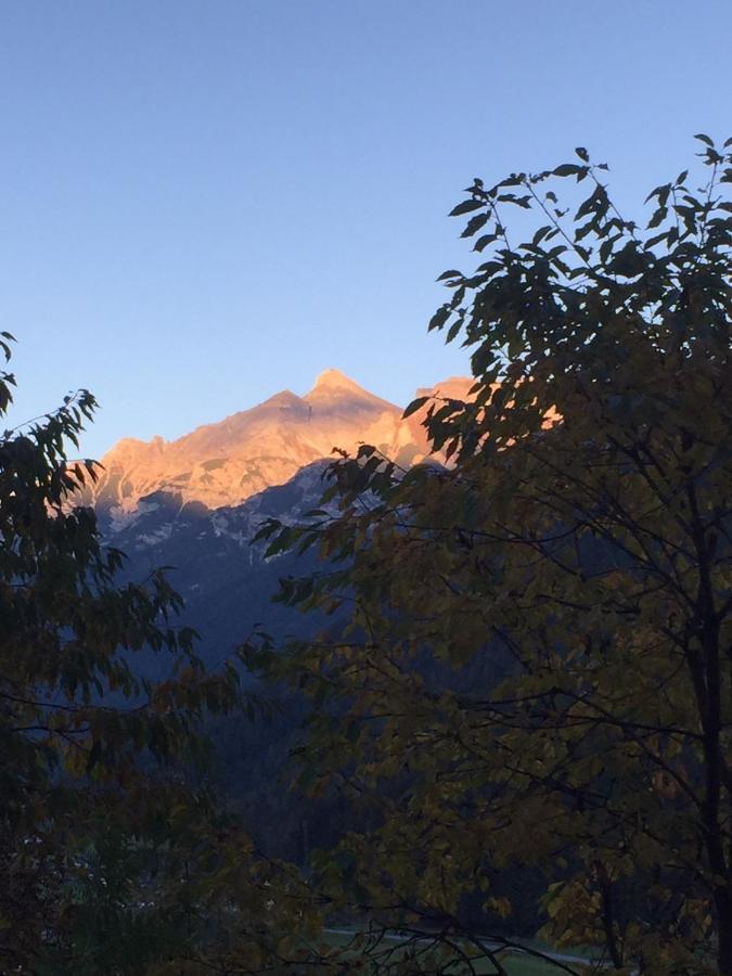 Alpenecho Neustift im Stubaital